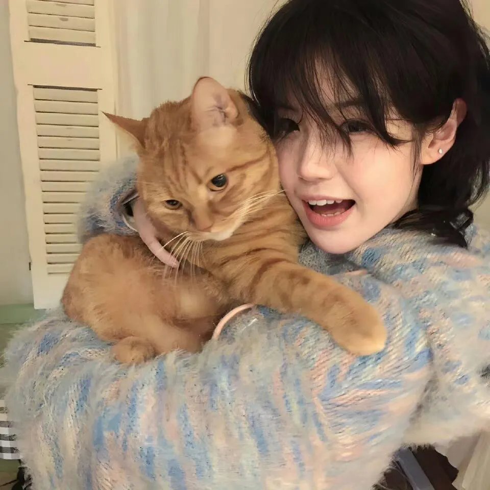 皇家国教骑士团